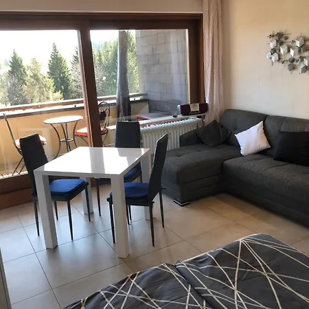 Blackforestappartement - Pool *